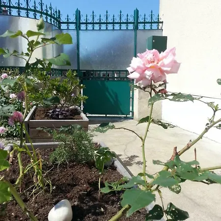 Hotel Campagn'arts 4*